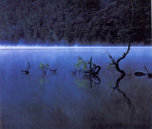Wuxu Lake, China. Submitted by Zili Wang '15