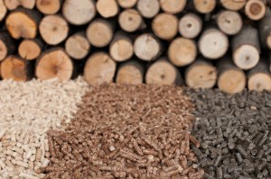 biomass-pellet-3