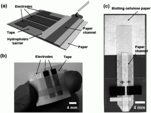 microfludic chip