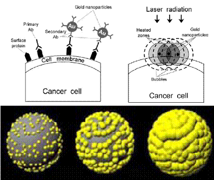 cancer therapy nanotechnology gold nanoparticles nano cells particles diagram used lafayette fa14 edu sites podcast gif use depicting interact treatment