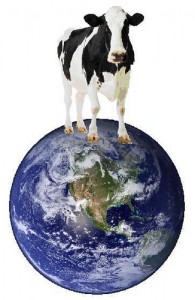 meat-dairy-environment