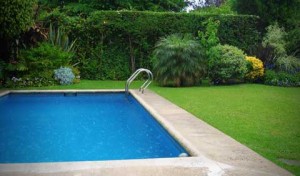 swimming-pool-backyard-summer