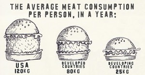 http://dipasdailydumplings.blogspot.com/2011/04/average-meat-consumption.html