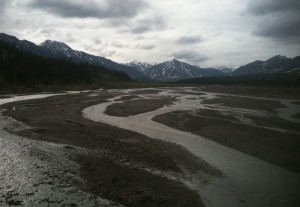 Teklanika River, Denali National Park, Alaska (June 2012)