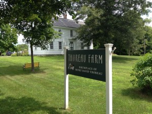 Thoreau's birthplace
