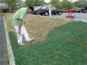 the-us-drought-is-so-bad-people-are-painting-their-lawns-green