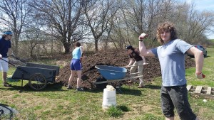 Shoveling compost takes a lot of strength!  Pictured: (from left to right) Fletcher Horowitz, Miranda Wilcha, Monica Wentz, and Benji Helbein.