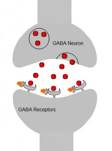 EtOH&GABA