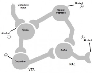 Overall Mechanism