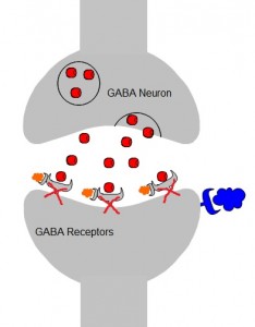 Red circles represent GABA. Blue cirlce represents beta-endorphin.