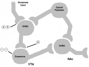 Neurobiochronic