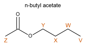 n butyl acetate