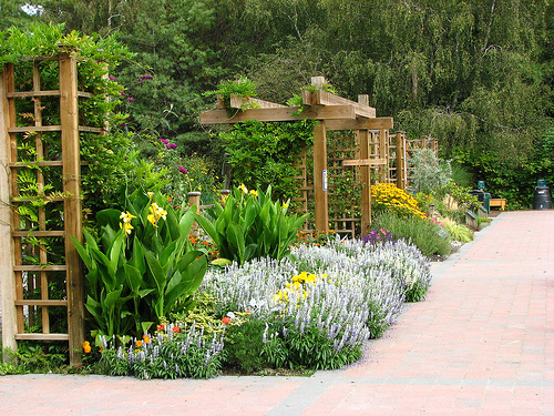 Community Garden