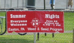 Summer Nights Sign