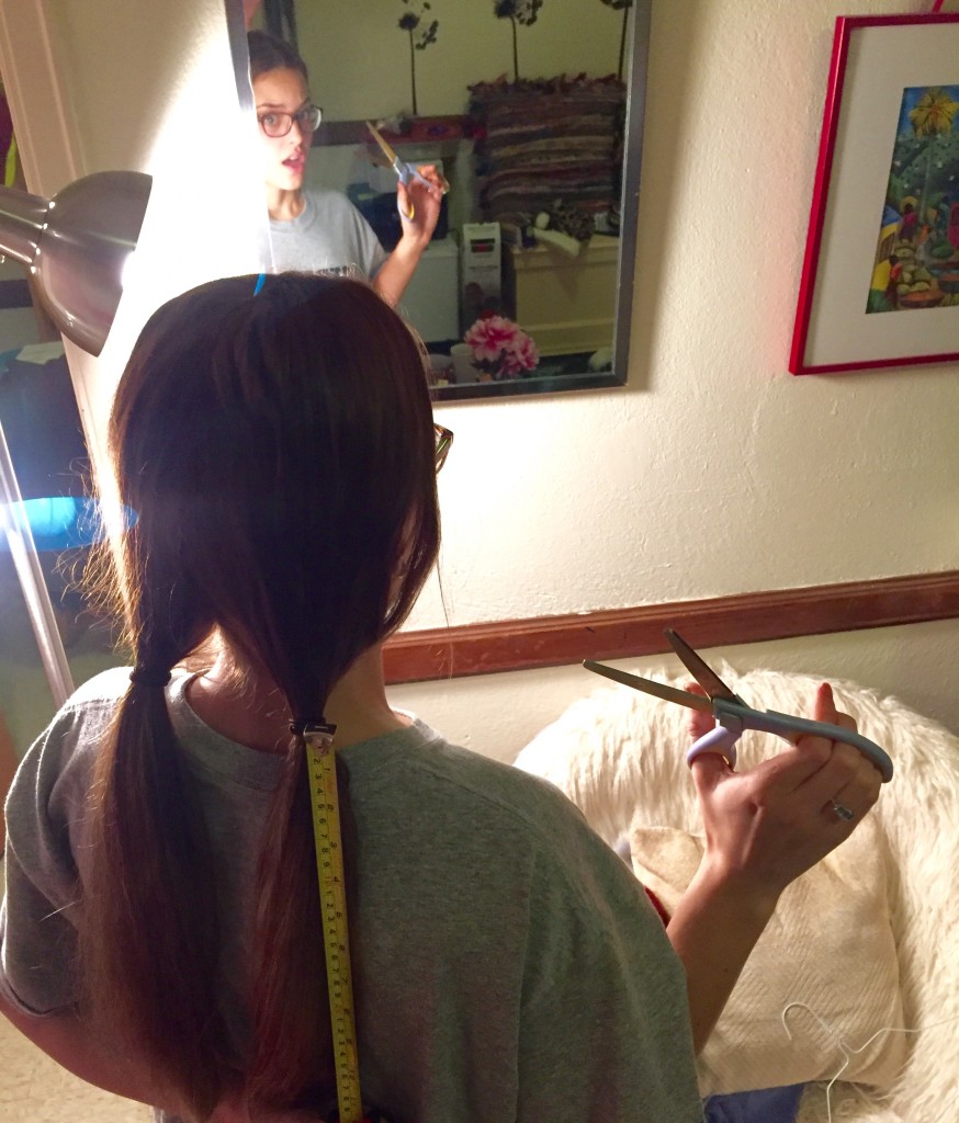 Photographs that lie Media Arts I