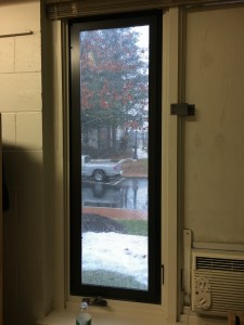 IMG_3354