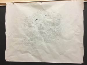 IMG_3557