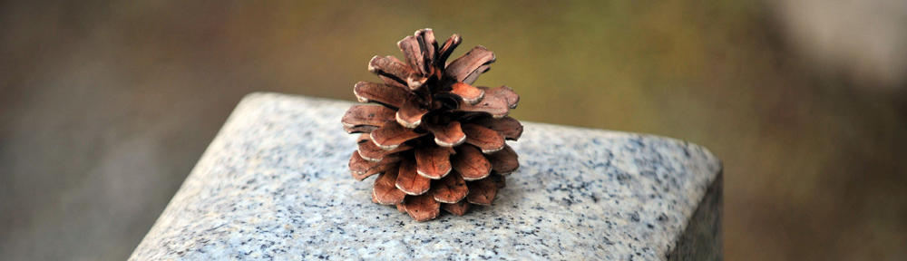Art Capstone