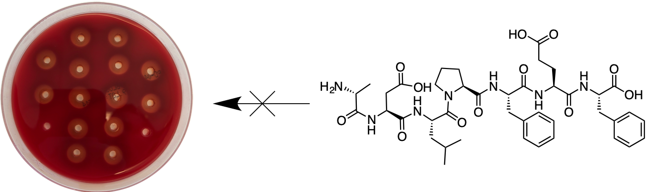 PapR7 Hemolysis