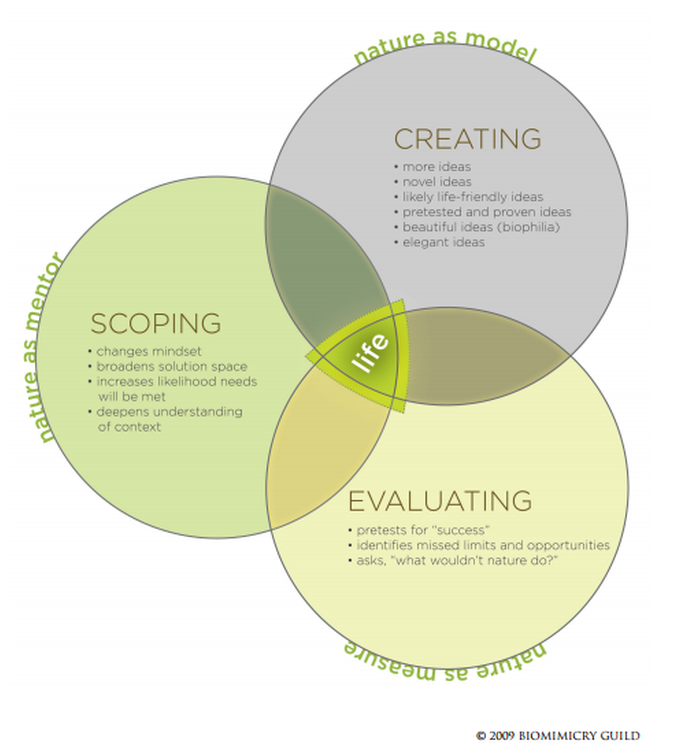 Biomimicry as a Sustainable Design Methodology—Introducing the ...