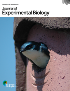 Cover J Exp Biol, tree swallow in nest box