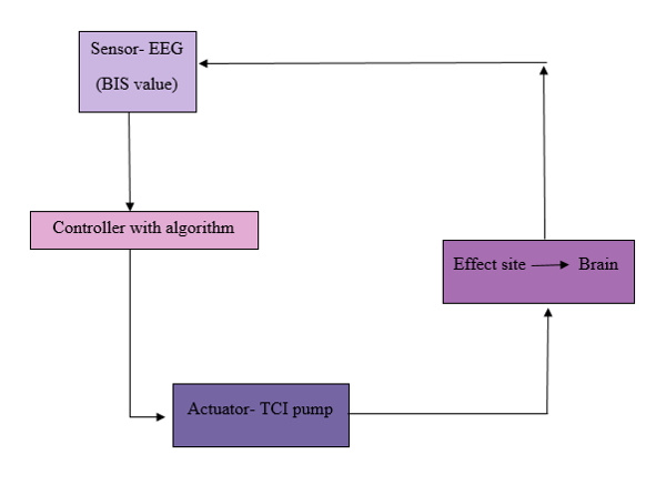 Is automated closed loop controlled Propofol delivery system a