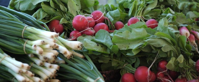 Easton Farmer’s Market Easton Farmer’s Market
