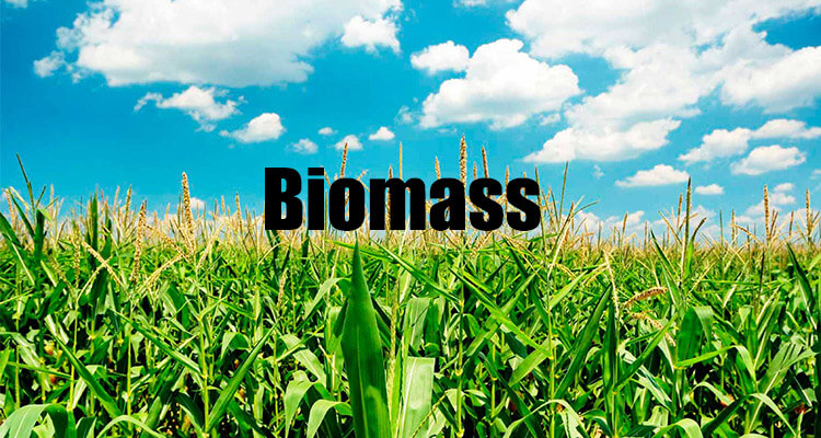 biomass renewable energy