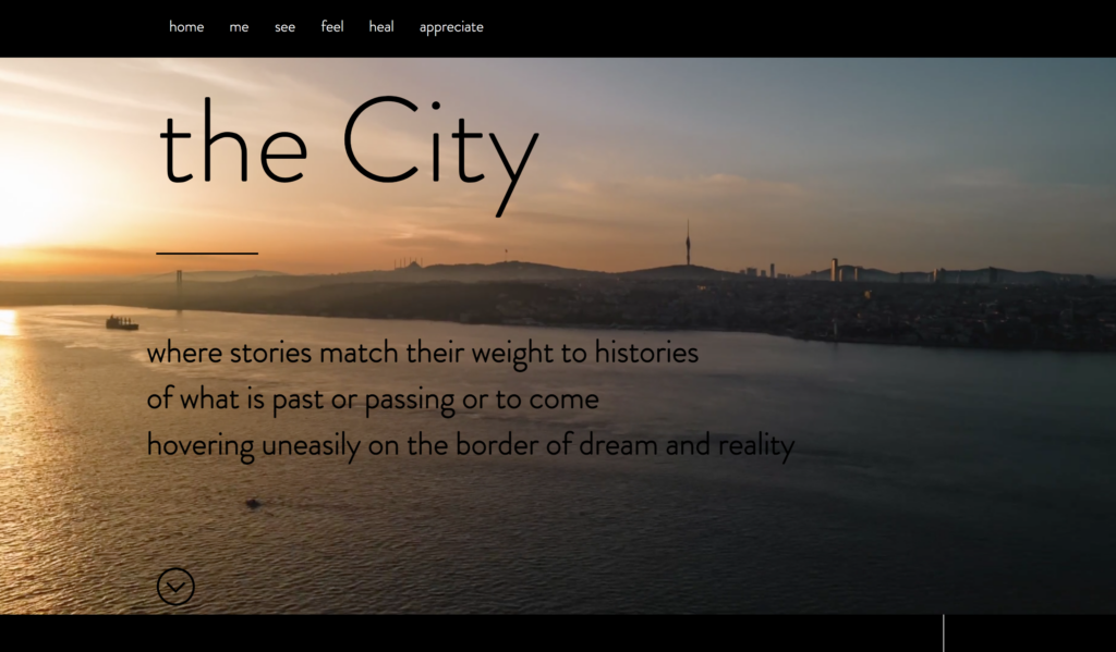 Screenshot of Pelin Cetin's The City website homepage