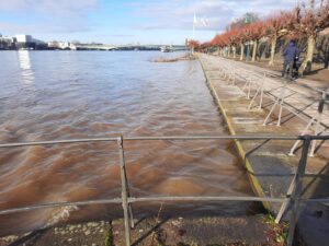 The Rhine at the top of the river wall in Bonn