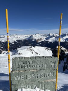 View of Alps from Top of Mountain