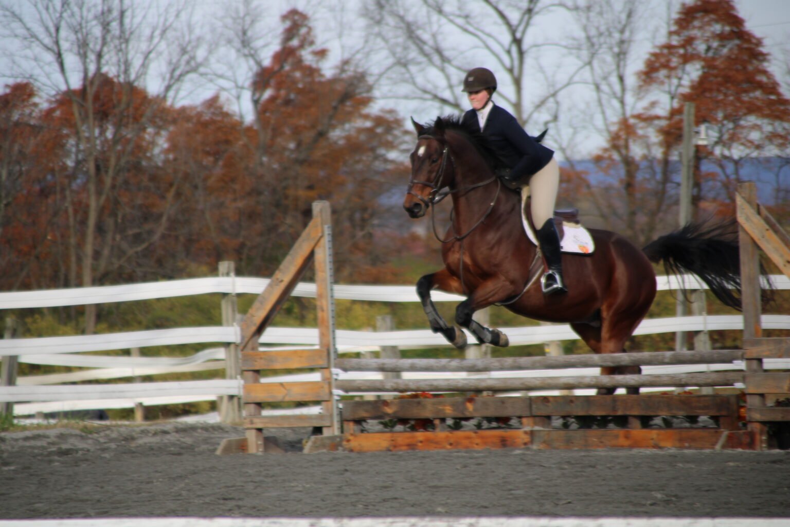 LCET @ ESU’s Hosted Show at Bay Ridge Stables – Lafayette College ...