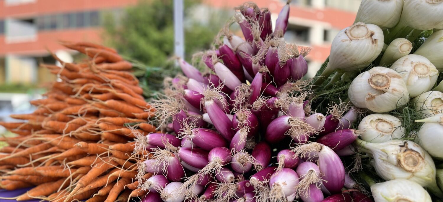 EVST 315: Food Studies