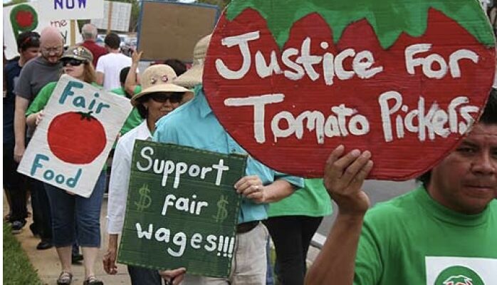 Coalition of Immokalee Workers: a profile by Sophia Kane
