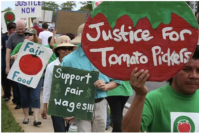 Coalition of Immokalee Workers: a profile by Sophia Kane