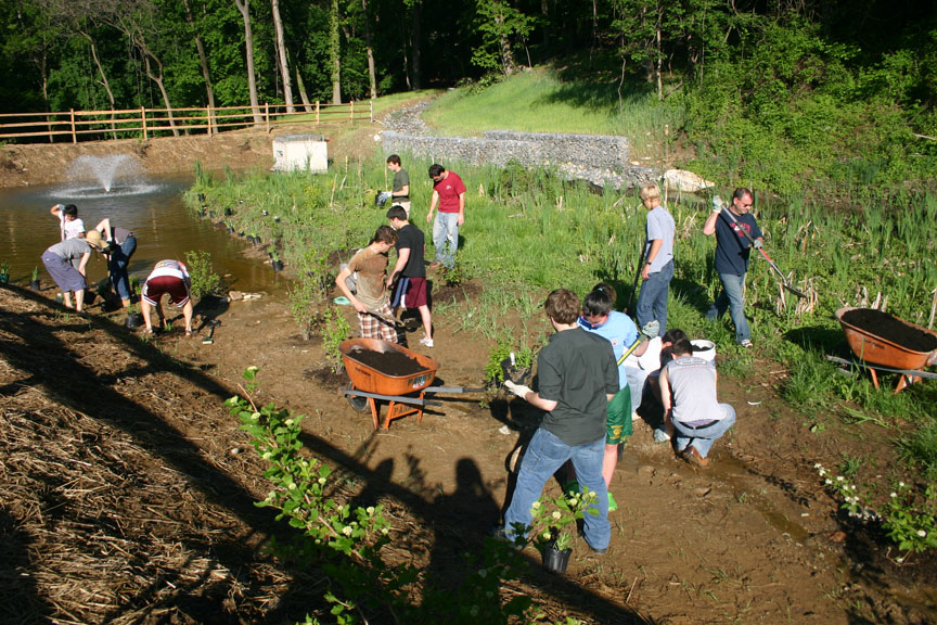 Students planting the wetland at Sullivan Park, spring 2010