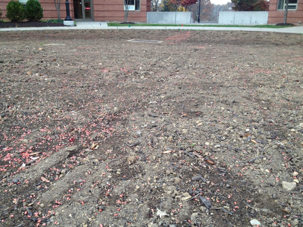 Winter wheat has been seeded at Fisher Quad - thanks Dave K!