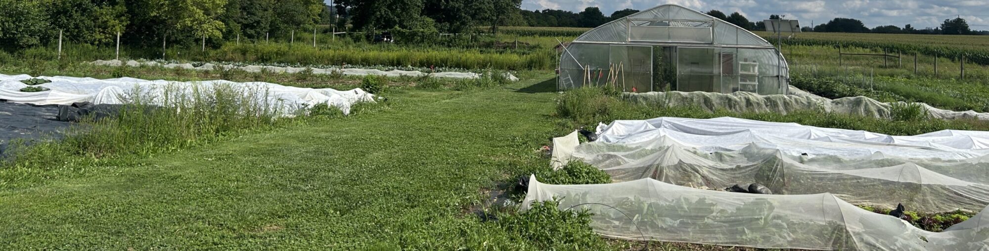 ECE Design Project: FARMSENSE