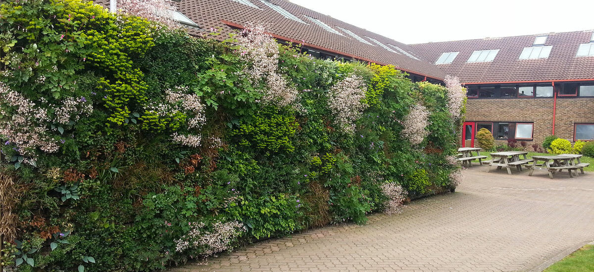 Why a Living Wall?