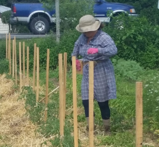 FloridaWeaving LaFarm, The Lafayette College Community Garden