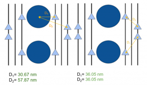 channel and vesicle together