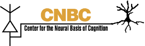 cnbc-logo-Gold-black-291x94