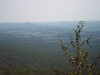 hawk-mountain-019