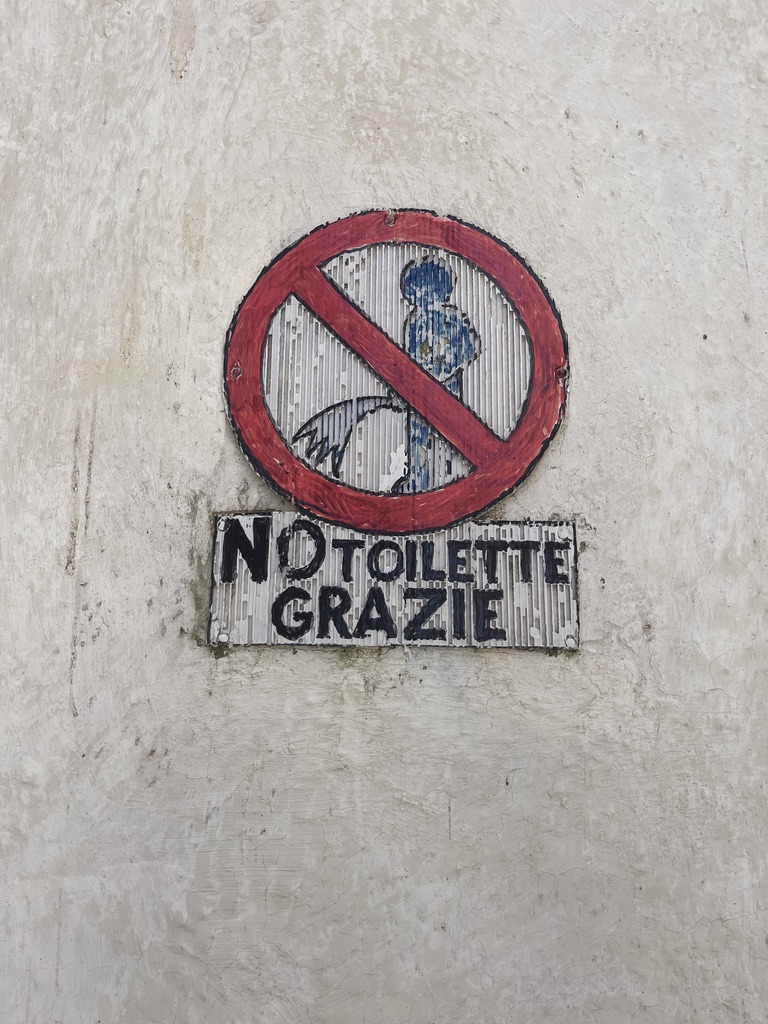 Save Venice