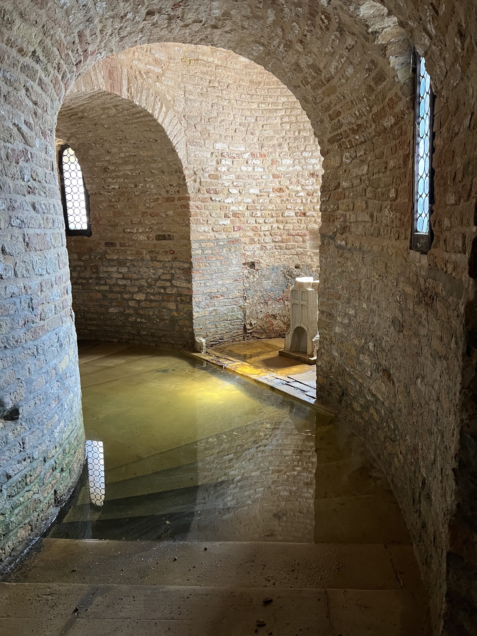 Save Venice
