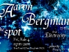 aaron-bergman-electrocity