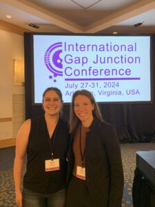 International Gap Junction Conference, 2025
