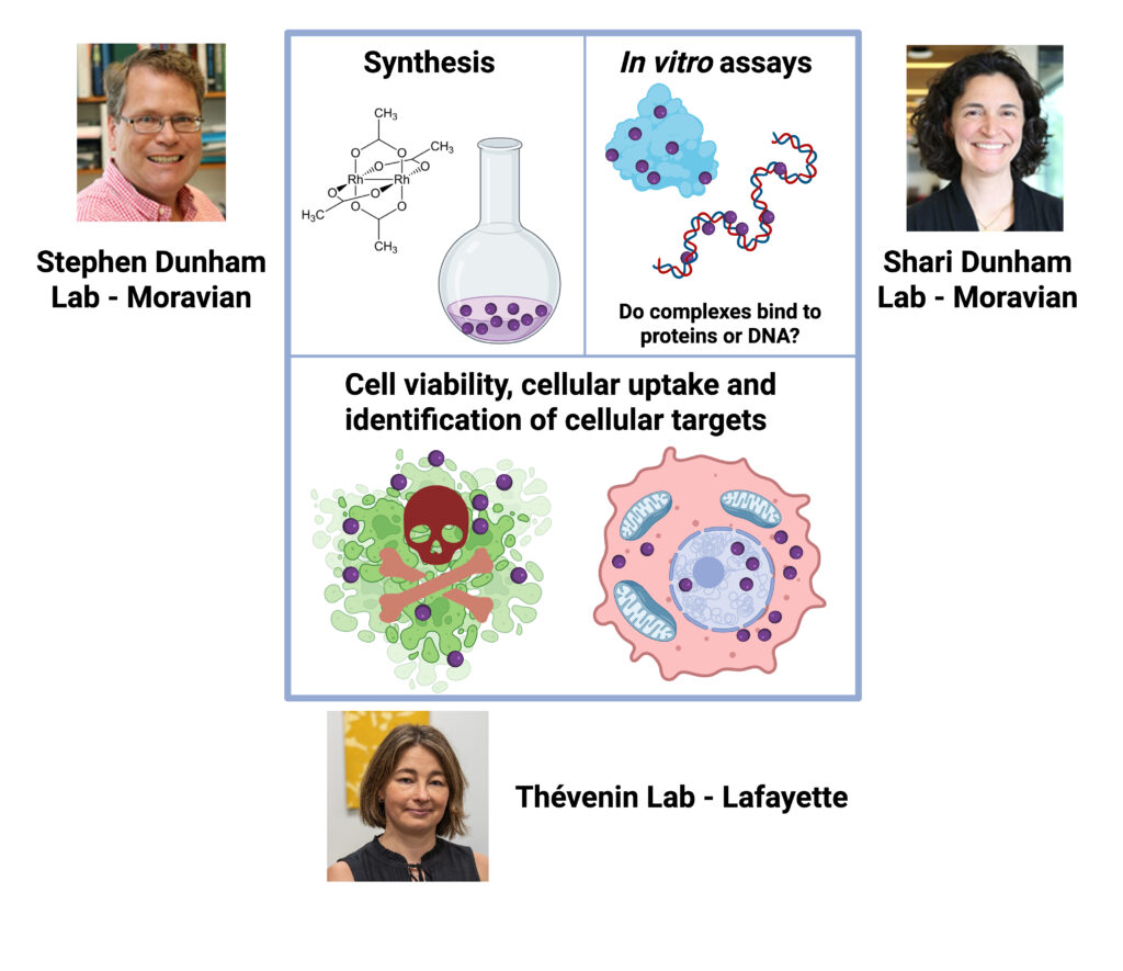 Collaborative work between Steve Dunham, Shari Dunham, and the Thévenin lab