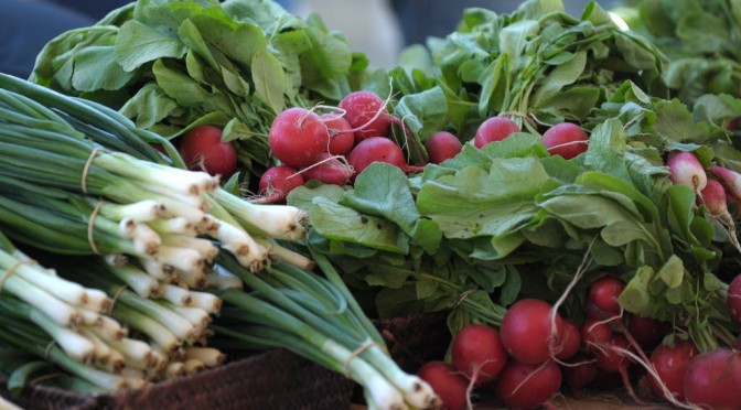 Easton Farmer’s Market
